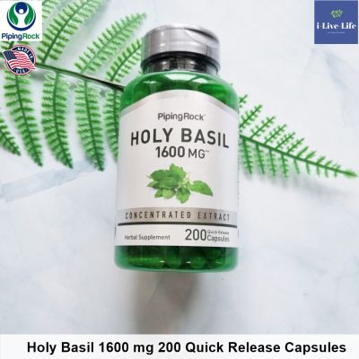 สารสกัดจากกะเพรา Holy Basil 1600 mg 90 or 200 Capsules - PipingRock Piping Rock