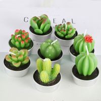 1Pcs Natural Scented Succulent Plants Cross star brocade Aromatic Candle Fresh Flower Fragrance Candles Holiday Party Decoration