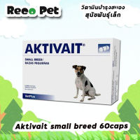 Aktivait small breed 60 แคปซูล วิตามินบำรุงสมองสำหรับสุนัขพันธุ์เล็ก น้ำหนักไม่เกิน 10 กก.