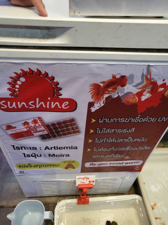 ส่งฟรี-ไรแดงทะเลแช่แข็ง-sunshine-ยกกล่อง-7-แผ่น-แถมฟรีกล่องโฟม-อาหารปลาสัตว์น้ำแรกเกิดทุกชนิด-สะอาด-ปราศจากปรสิตที่ทำให้เกิดโรค