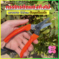 Winsome กรรไกรแต่งกิ่งไม้ เหล็กคาร์บอน สำหรับใช้ในสวน ด้ามกระชับมือ garden shears