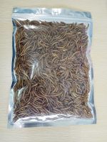 Boqi Factory หนอนอบแห้งสำหรับหนูแฮมเตอร์ ชูการ์,เม่นแคระ,นก,ปลา Mealworms