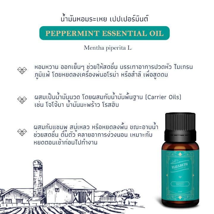 น้ำมันหอมระเหย-เปปเปอร์มินต์-peppermint-essential-oil-10-30-ml-น้ำหอมอโรม่า-น้าหอมเครื่องพ่นอโรม่า