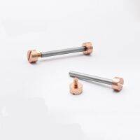 ☈ 18 มม. 20 มม. 22 มม. สกรูนาฬิกา Rod Rose Gold Silver Screw-In Watch Lug Stem Link Kit สำหรับหนังสายนาฬิกาสปริงบาร์