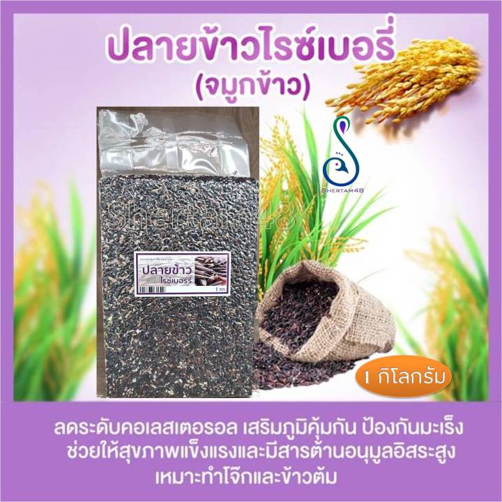 ปลายข้าวไรซ์เบอร์รี่-ติดจมูกข้าว-กินดี-มีประโยชน์