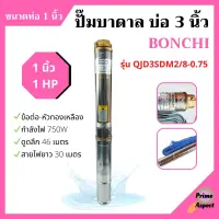 ปั๊มบาดาล 1HP บ่อ 3 นิ้ว ท่อ 1 นิ้ว BONCHI รุ่น QJD3SDM2/8-0.75