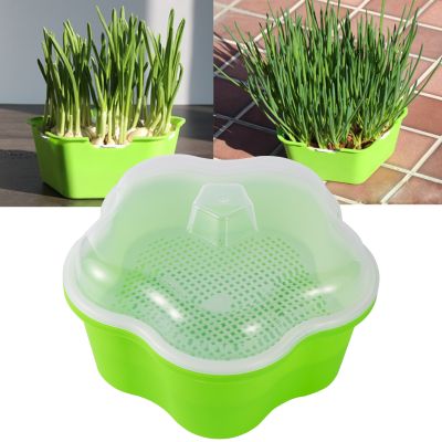 Sprout Planting Pot Bean Sprouter Seedling Tray Wheat Grass Growing Germination Healthy Sprouts for Salads Home Garden Supplies