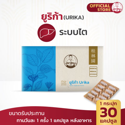 ปราชญาสมุนไพร ยูริก้า ( Urika ) ไต เสริมภูมิ