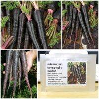 เมล็ดพันธุ์ แครอทดำ เนบิวล่า (Black Nebula Carrot Seed) 100 เมล็ด คุณภาพดี ราคาถูก ของแท้