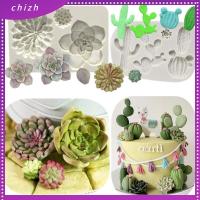 CHIZH ซิลิโคนทำจากซิลิโคน แม่พิมพ์ซิลิโคนฉ่ำกระบองเพชร สีเทาและสีเทา แม่พิมพ์ฉ่ำน้ำ แม่พิมพ์ซิลิโคนน่ารัก แม่พิมพ์แคคตัส สำหรับ 2ชิ้นค่ะ แม่พิมพ์เค้ก DIY