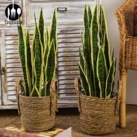 TUOMUXIA ใบเทียม Sansevieria ประดิษฐ์แบบงานเขตร้อนพืชปลอมสวนของตกแต่งบ้าน