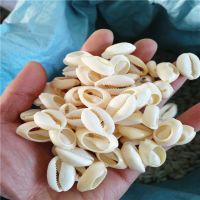 200pcs 2.0-2.3cm Natural Cut Cowrie Shells Natural Shell Conch Beads Cowrie Tribal Jewelery Craft Accessories DIY seastar