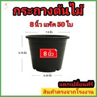 กระถางต้นไม้พลาสติก 8 นิ้ว แพ็ค 50 ใบ 100 ใบ กระถางต้นไม้ กระถางกระบองเพชร สีดำ