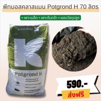 ?ส่งฟรี?พีทมอสคลาสแมน Potgrond H คลาสแมนเยอรมัน ผสมกรีนไฟเบอร์ ยกกระสอบ 70 ลิตร