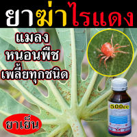 ?สูตรเข้มข้น?สารกำจัดไรแดง ยาเพลี้ยไฟ 500 ซีซี เพลี้ยแป้งที่ราก กำจัดเพลี้ย เพลี้ยหอย กำจัดหนอน เพลี้ยแป้ง