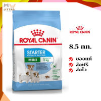 ?จัดส่งฟรี Royal Canin ลูกสุนัข สูตร Mini Starter เม็ดเล็ก ขนาดสินค้า 8.5 kg. เก็บเงินปลายทาง ✨