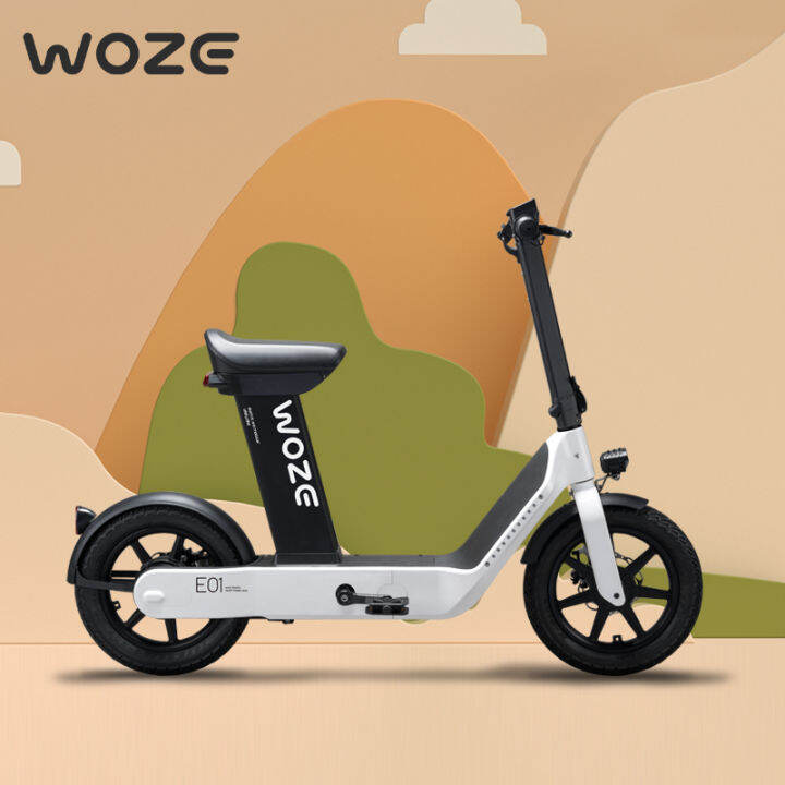 WOZE Maruko new national standard electric bicycle small car battery ...