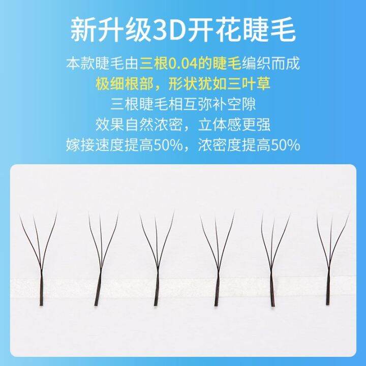 clover-ขนตาขนนุ่มไม่กระจายรากออกดอกต่อขนตา-3d-นางฟ้าขน-yy-ประเภทขนตา-yy-การปลูกขนตาปลอม