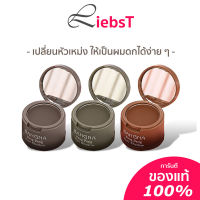 BANGNA Pang Pang Hair Shadow ปิดเถิก หัวเหม่ง เพิ่มผมหนา ปิดผมบาง 4g  BN504