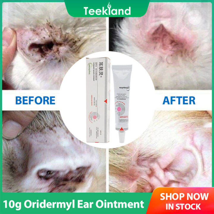 Oridermyl Ear Ointment 10g for Dogs and Cats | Lazada