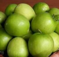 พุทราจัมโบ้ (Jujube Jumbo)ขนาด 35-40 ซม.