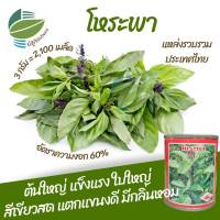 เมล็ดพันธุ์ โหระพา (Basil)  จำนวน 2,100 เมล็ด (3กรัม)  ต้นใหญ่ แข็งแรง ใบใหญ่ สีเขียวสด แตกแขนงดี มีกลิ่นหอม