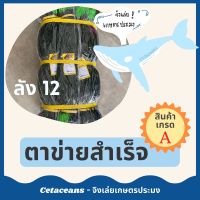 ( Promotion+++) คุ้มที่สุด [ถูกที่สุด! มีของแถม] ตาข่ายสำเร็จ อวนล้อมไก่ ตาข่ายกั้นไก่ อวนกั้นไก่ กั้นสัตว์ กั้นไก่ กั้นรั้ว ลัง12 ราคาดี กรง สุนัข กรง หนู แฮม เตอร์ กรง สุนัข ใหญ่ กรง กระรอก