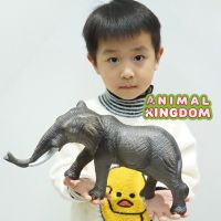 Animal Kingdom - โมเดล Elephant ช้าง แอฟริกา ขนาด 30.00 CM แบบนิ่ม (จากสงขลา)