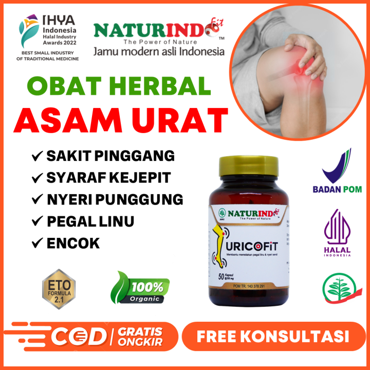 Obat Asam Urat Pegel Linu Nyeri Sendi Nyeri Otot Rematik Sakit Pinggang ...