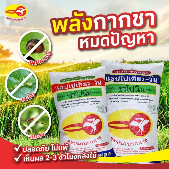 ส่งฟรี-กากชา-กำจัดหอย-ซาโปนิน-10กก