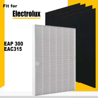 EF114 Hepa13กรองถ่านกัมมันต์สำหรับเครื่องฟอกอากาศ Electrolux EAP 300 EAC315