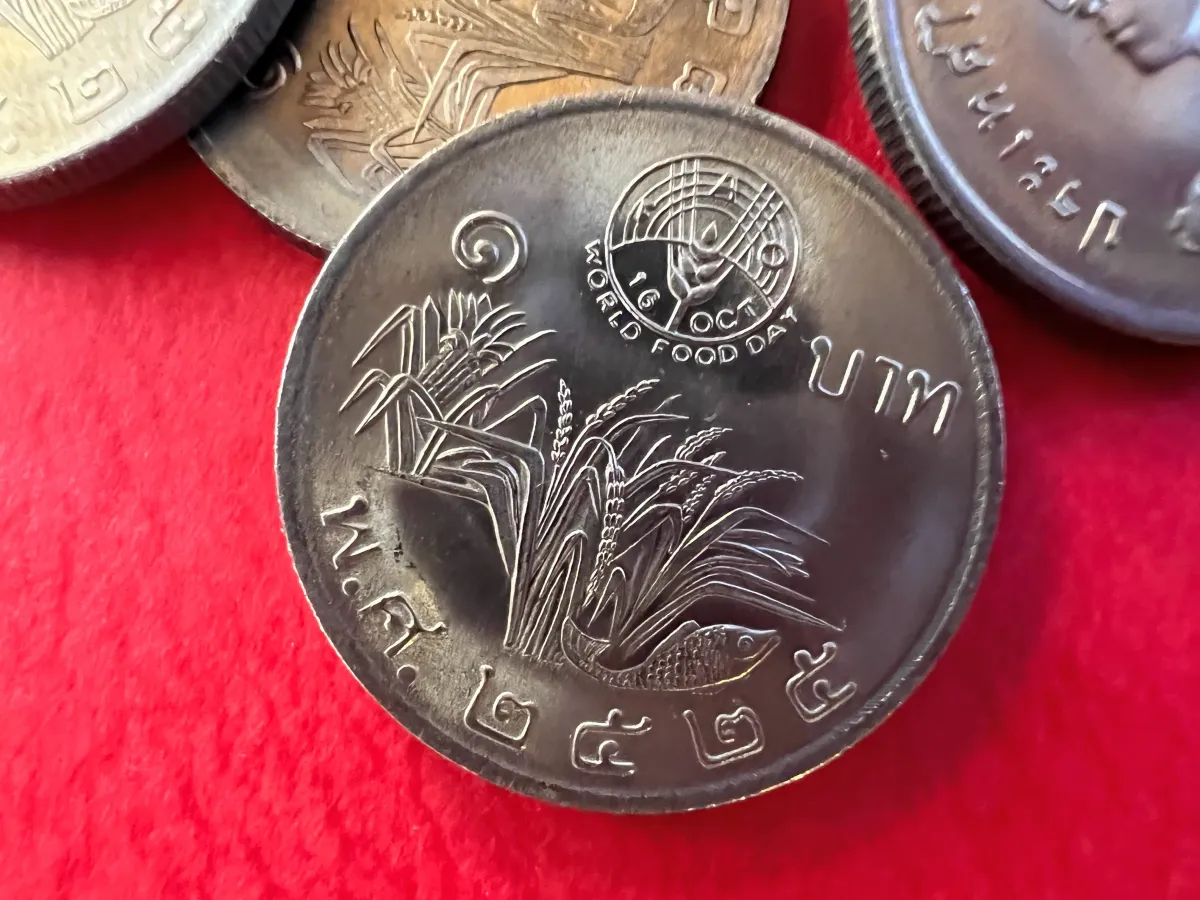 เหรียญ 1 บาท Fao วันอาหารโลก รวงข้าว World Food Day ปี 2525 ไม่ผ่านใช้  น้ำทองสวย(ราคาต่อ 1 เหรียญ พร้อมตลับใหม่) | Lazada.Co.Th