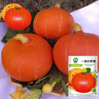 เมล็ดฟักทองญี่ปุ่นสีส้ม 20เมล็ด เมล็ดพันธุ์ฟักทองญี่ปุ่นสีส้ม Orange Japanese Pumpkin Seeds