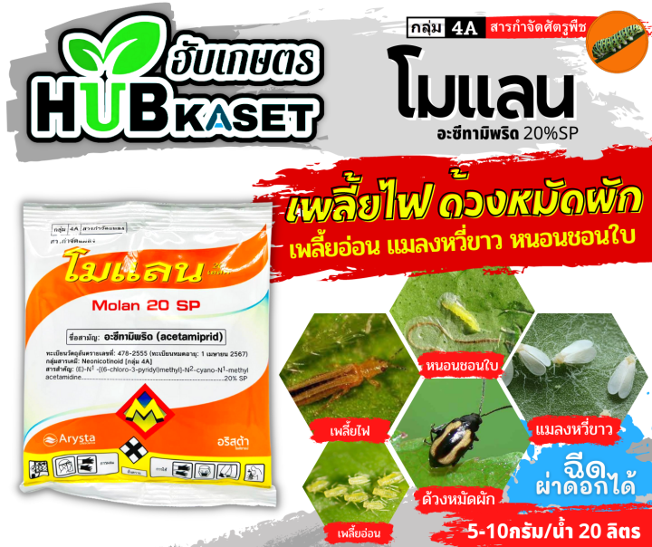 โมแลน-100กรัม-อะซีทามิพริด-ใช้ป้องกันกำจัดเพลี้ยต่างๆ-แมลงหวี่ขาวมวนเขียว-มวนลำไย-แมลงสิง-ด้วงต่างๆ-หนอนชอนใบส้ม-เป็นต้น