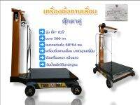 เครื่องชั่งคานเลื่อน ยี่ห้อตุ๊กตาคู่ ขนาด 500/50 กก. รุ่นบิ๊กชัวร์  (04-1628) กิโลปอนด์