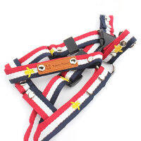 Hot Dog Harness Leash 2Pcs ชุดแฟชั่นหมี Bee เย็บปักถักร้อยตุ๊กตาปลอกคอเดินเชือกสำหรับสุนัขขนาดเล็ก Accessories