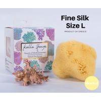 ฟองน้ำธรรมชาติ จากทะเลเมดิเตอร์เรเนียน ชนิด Fine Silk ขนาด M สีเหลือง