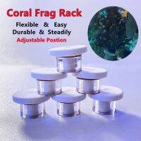 【LZ】卍❃  Coral Frag Rack para aquário vivo cultivo ajustável fácil suporte para suportes SPS peças de reposição Marine Reef Fish Aquarium Plug Plate 6 peças