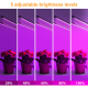 LED เติบโตไฟ USB Phyto โคมไฟเต็มสเปกตรัมเติบโตแสงที่มีการควบคุม Phytolamp สำหรับพืชต้นกล้าดอกไม้บ้านเต็นท์ฝากขาย