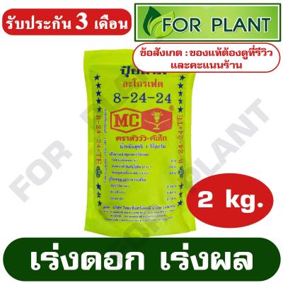 ปุ๋ย สูตร 8-24-24 ตราหัววัว บรรจุ 2 กิโลกรัม (สินค้าตรงปก) ปุ๋ยเร่งราก เร่งดอก เร่งผล ใส่ผัก ผลไม้ ปุ๋ยไม้ดอกไม้ประดับ