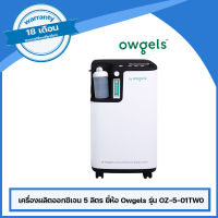 เครื่องผลิตออกซิเจน 5 ลิตร ชนิดพ่นละอองยาได้ ยี่ห้อ Owgels รุ่น OZ-5-01TW0