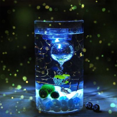 Hot Creative  Colorful 12cm Glass Bottle Jar LED Terrariums Wish Bottle Night Light Aquarium Glass Bottle Night Light#264311 Night Lights