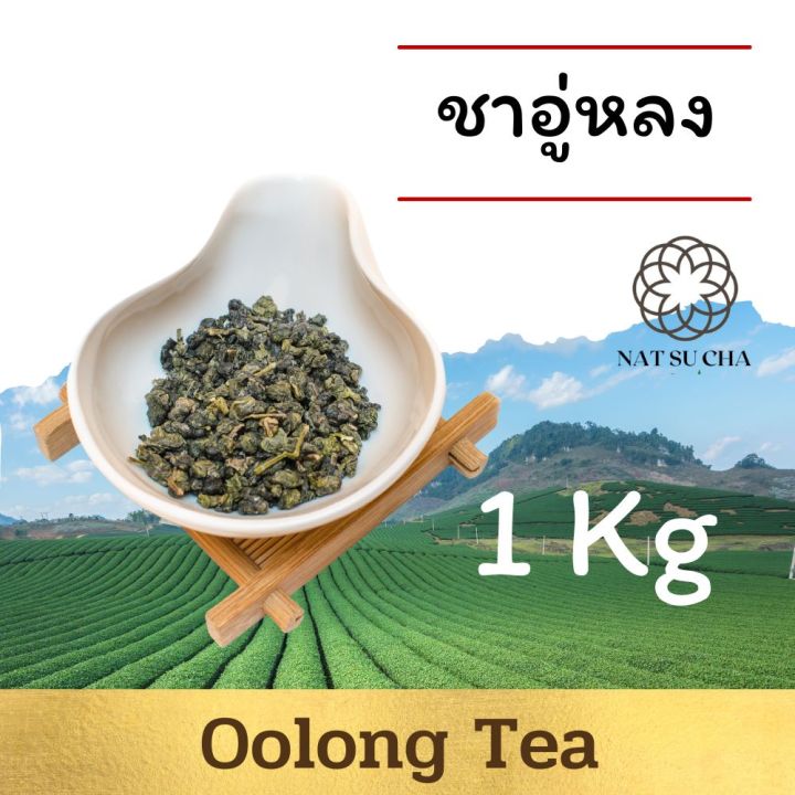 ชาอู่หลง-1-กิโลกรัม-ราคาพิเศษ-ชาออแกนิค-จากเชียงราย-organic-tea-1-kg