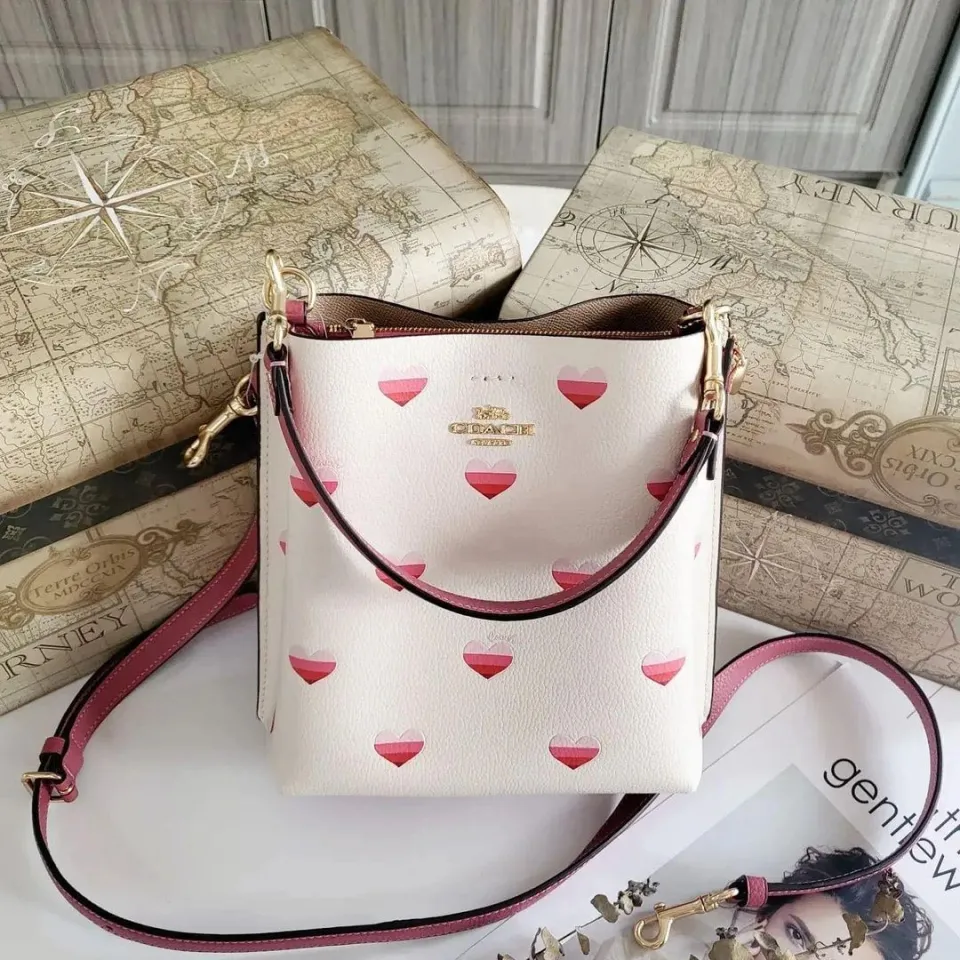 Coach CA249 Mollie Bucket Bag 22 With Stripe Heart Print In Gold