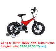 Xe đạp trẻ em LanQ 41G cao cấp