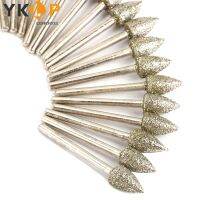 【☼】 GADGET-DEAL Shank Diamond Grinding Burrs Bits ชุดสำหรับเครื่องมือโรตารี่หยาบ Fine Grit 1/20Pcs โรตารี่ Burrs Mounted Point Bits Lapify