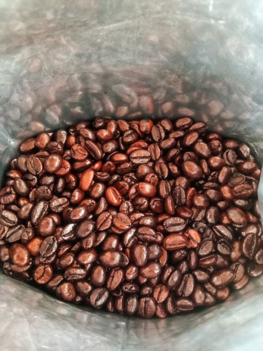 hillkoff-ratika-robusta-french-roast-เมล็ดกาแฟคั่ว-กาแฟสด-โรบัสต้า-คั่วเข้ม-ราติก้า-ขนาด-500-g-เมล็ดกาแฟ