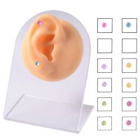 12PCS Non Pierced Magnet Ear Tragus Cartilage Lip Labret Stud Nose Ring Jewelry Magnetic Earring Piercing Jewelry Accessories