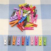 10 Pcs Random Mini Colored Spring Wood Clips Clothes Photo Paper Peg Pin Clothespin Craft Clips Party Decoration Clips Pins Tacks