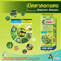 ?ถั่วดก แตงดก เอเจนต้า สร้างตาดอก เร่งติดผล ผลดก ทนโรค (1 ขวด)